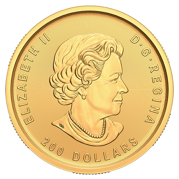 gold canadian klondike coin obverse