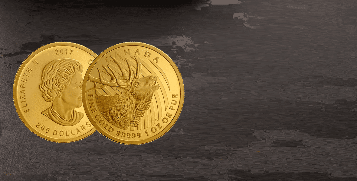 gold canadian bugling elk coins