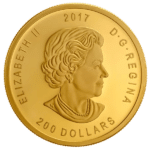 gold canadian bugling elk coin obverse