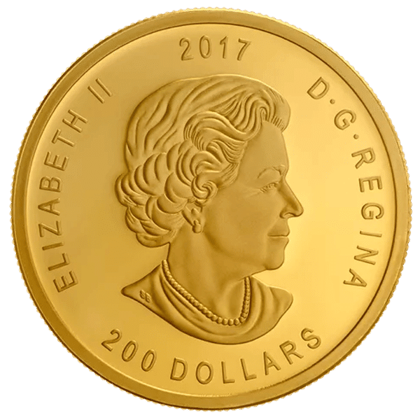 gold canadian bugling elk coin obverse