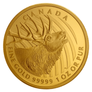 gold canadian bugling elk coin reverse