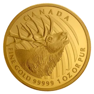 gold canadian bugling elk coin reverse