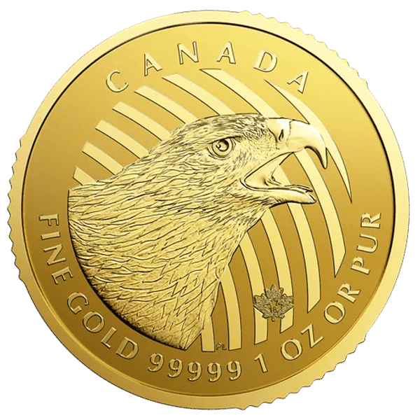 gold canadian golden eagle coin reverse