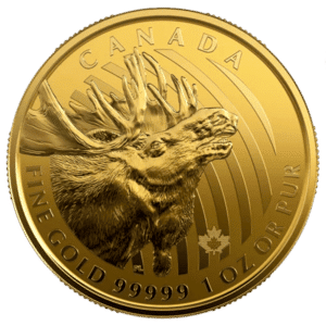 gold canadian moose coin reverse