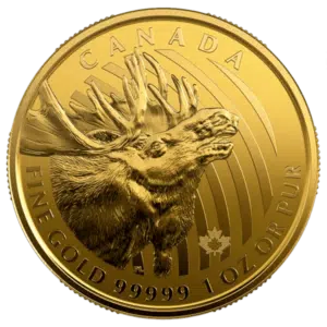 gold canadian moose coin reverse